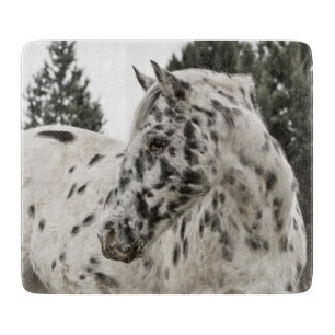 Schönes Schwarz-Weiß Appaloosa Pferd Schneidebrett