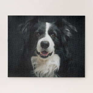 Schönes Schwarz-Weiß-Border-Collie-Hund-Foto Puzzle