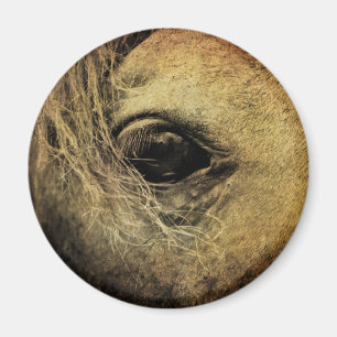 Schönes Schwarzes Auge Magnet