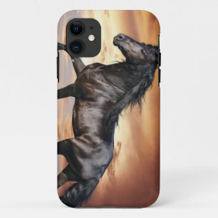 Schönes schwarzes Pferd Case-Mate iPhone Hülle