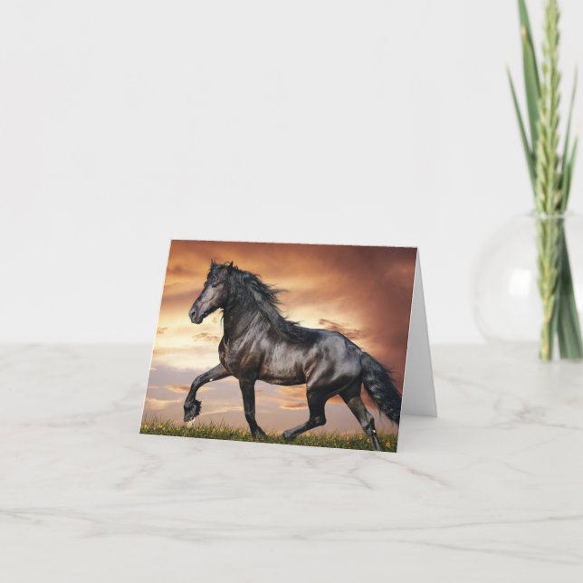 Schönes Schwarzes Pferd Karte (Vorderseite)