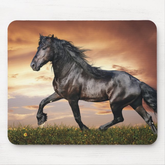 Schönes Schwarzes Pferd Mousepad (Vorne)