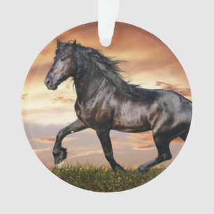 Schönes Schwarzes Pferd Ornament
