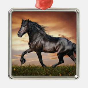 Schönes Schwarzes Pferd Ornament Aus Metall