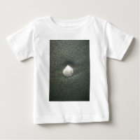Schönes Seashell im Sand: Ein Salty Souvenir