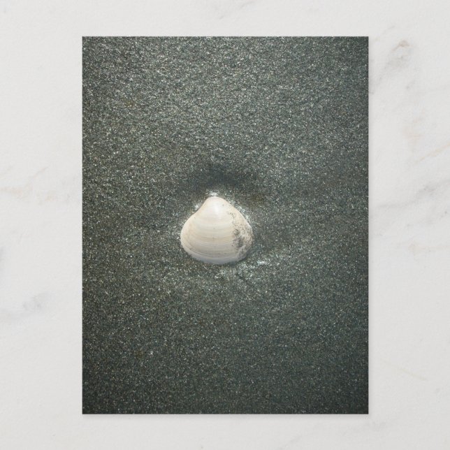 Schönes Seashell im Sand: Ein Salty Souvenir Postkarte (Vorderseite)