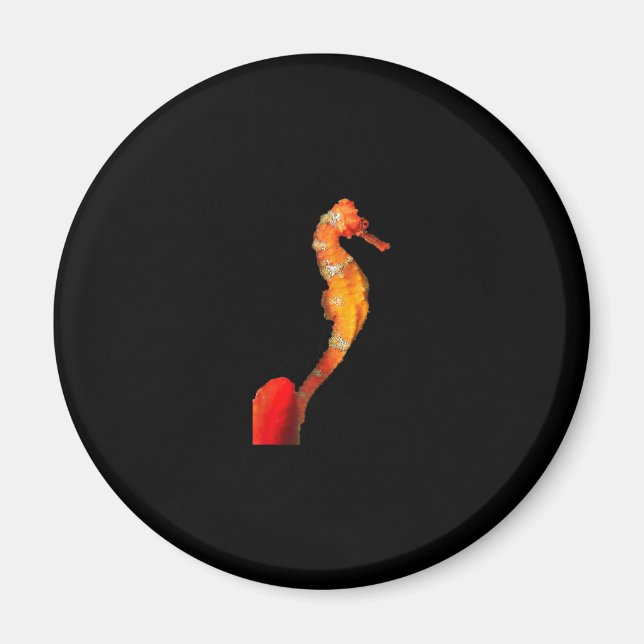 Schönes Seepferd vorne Magnet (Vorne)