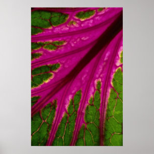 Schönes, sehr rotes und grünes Blättermuster Poster