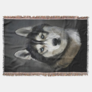 Schönes sibirisches Husky Throw Blanket Decke