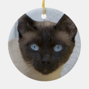 Schönes Siegel Point Siamese Katze Keramik Ornament