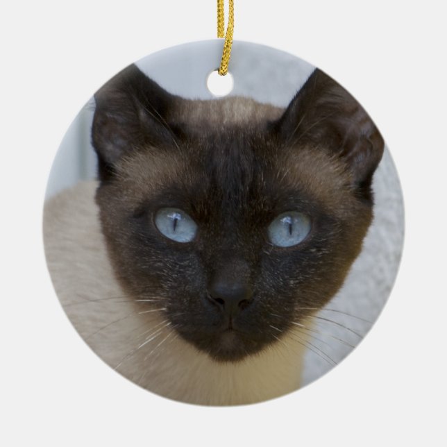 Schönes Siegel Point Siamese Katze Keramikornament (Vorne)
