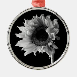 Schönes Sonnenblumenportrait in Schwarz und Weiß Ornament Aus Metall