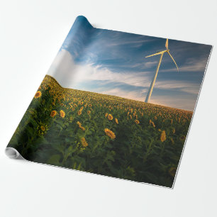 schönes Sonnenfeld mit bewölktem blauen Himmel a Geschenkpapier