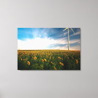 schönes Sonnenfeld mit bewölktem blauen Himmel a