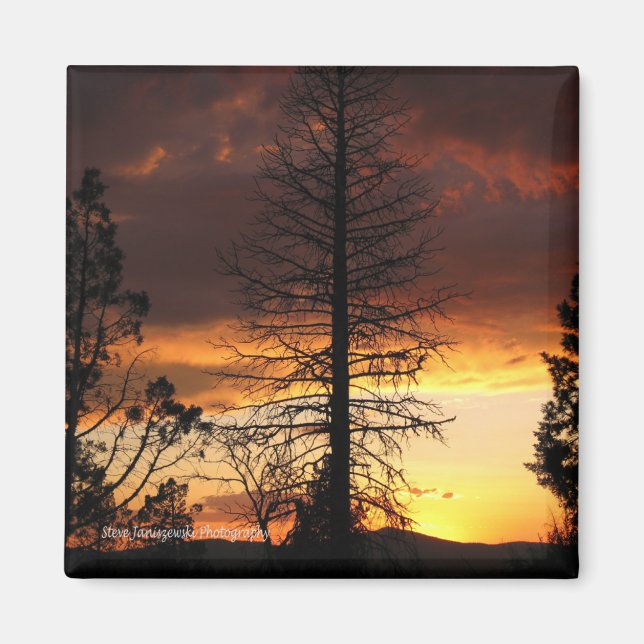Schönes Sonnenuntergang-Magnet Magnet (Vorne)