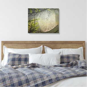 Schönes Spinnennetz im Wald auf Leinwanddruck