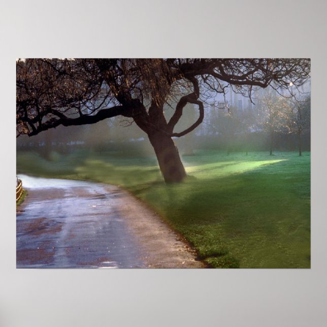 Schönes Tagesposter Poster (Vorne)