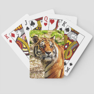Schönes Tiger Deck Spielkarten