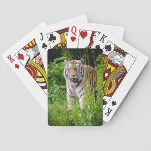 Schönes Tiger Deck Spielkarten