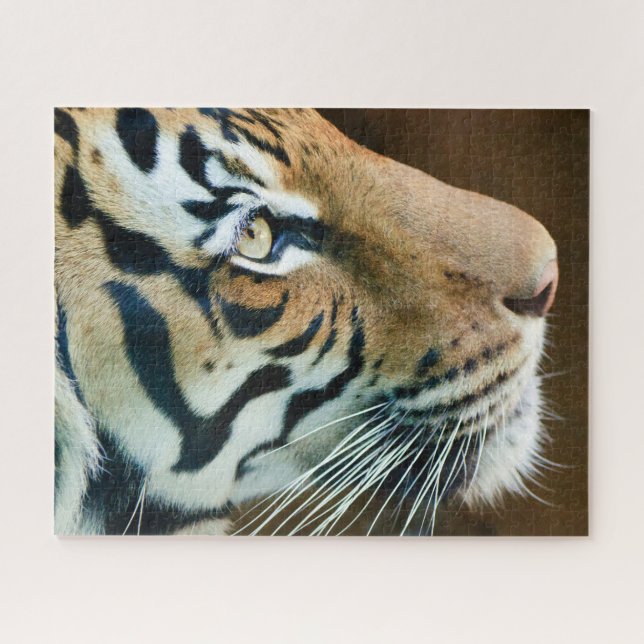 Schönes Tiger-Face-Foto Puzzle (Horizontal)