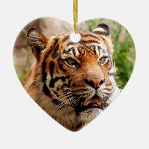 Schönes Tigergesicht Keramikornament