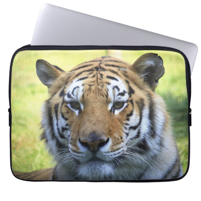 Schönes Tigerporträt Laptopschutzhülle (Vorderseite)