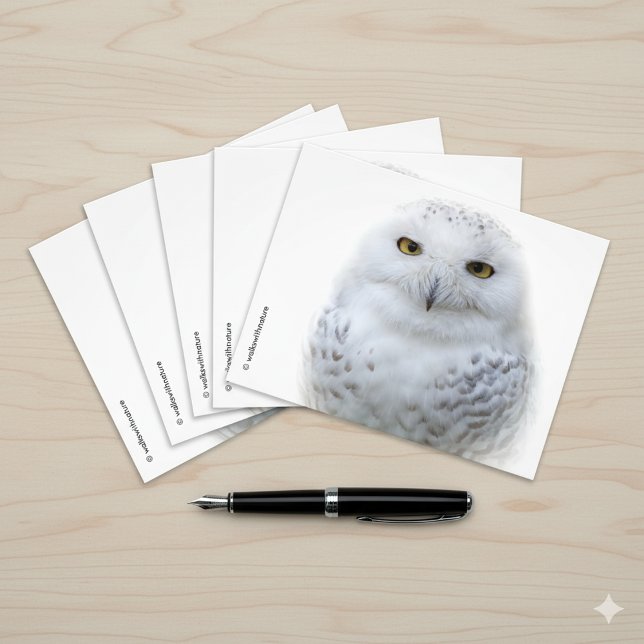 Schönes, traumhaftes und serenschneesicheres Owl Fotodruck (Snowy Owl Postcard Cover Photo 1)