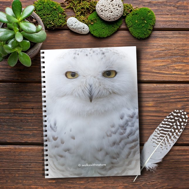 Schönes, traumhaftes und serenschneesicheres Owl Notizblock (Beautiful and Serene Snowy Owl Journal Cover Photo)