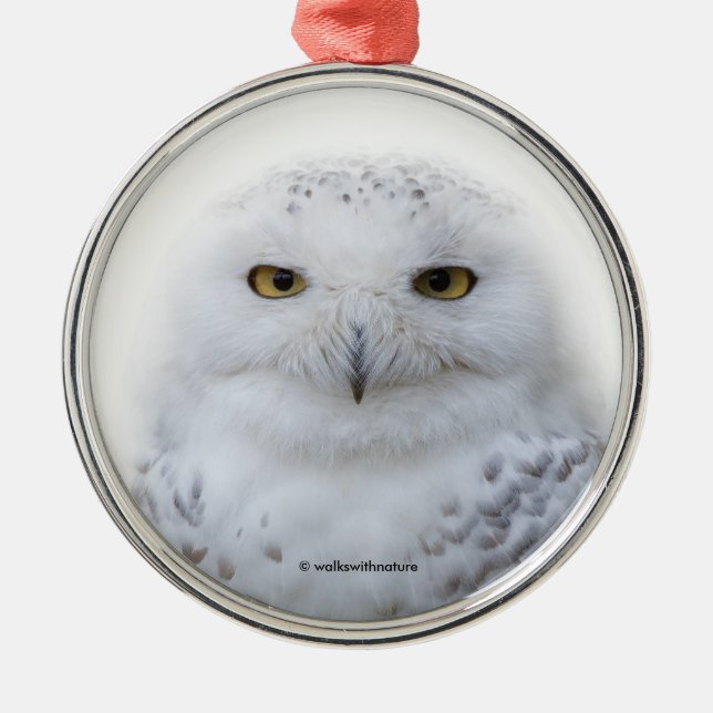 Schönes, traumhaftes und serenschneesicheres Owl Ornament Aus Metall (Vorne)
