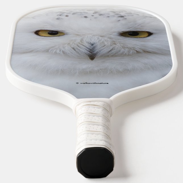 Schönes, traumhaftes und serenschneesicheres Owl Pickleball Schläger (Ablage )