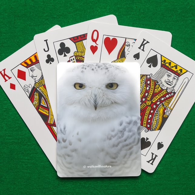 Schönes, traumhaftes und serenschneesicheres Owl Spielkarten (Snowy Owl Playing Cards on Green Felt Playing Surface Cover Photo)