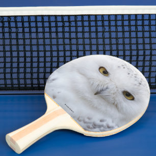 Schönes, traumhaftes und serenschneesicheres Owl Tischtennis Schläger