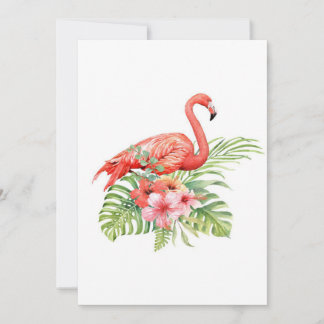 Schönes tropisches Flamingo| Phantastisches Gesche