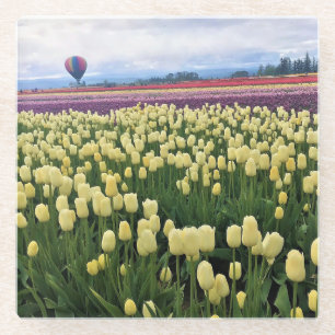 Schönes Tulip Field mit Heißluftballon, Oregon Glasuntersetzer