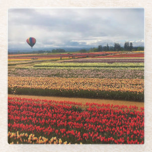 Schönes Tulip Field mit Heißluftballon, Oregon Glasuntersetzer