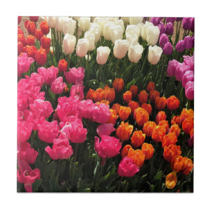 Schönes Tulip Garden Bed. Oregon Fliese