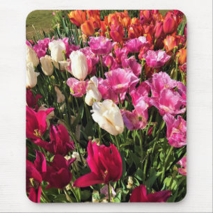 Schönes Tulip Garden Bed. Oregon Mousepad