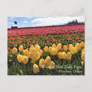 Schönes Tulpenfeld mit Heißluftballon, Oregon Postkarte