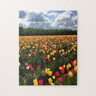 Schönes Tulpenfeld, Oregon Puzzle
