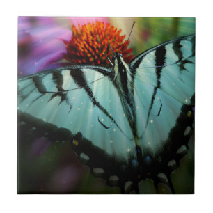 Schönes türkisfarbenes Frack Butterfly Fliese