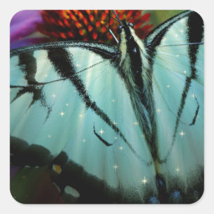 Schönes türkisfarbenes Frack Butterfly Quadratischer Aufkleber