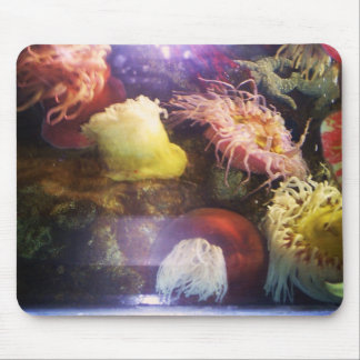 Schönes und buntes weiches korallenrotes mousepad