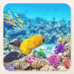 Schönes Untersetzer Set