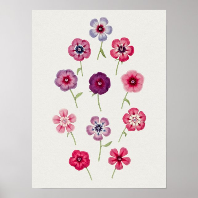 Schönes Vintages botanisches Illustrationspopster Poster (Vorne)