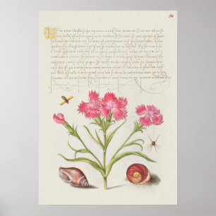 Schönes Vintages botanisches Illustrationspopster Poster