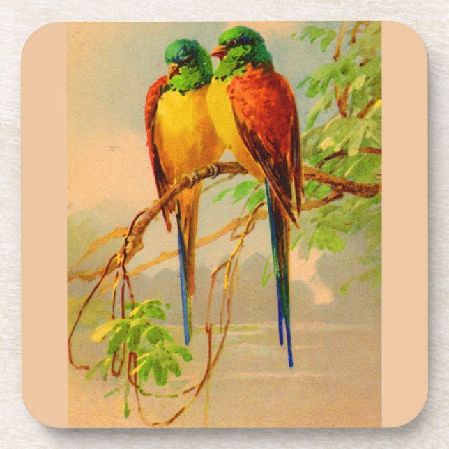 schönes Vogelbild Getränkeuntersetzer (Vorderseite)