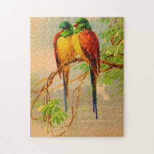 schönes Vogelbild Puzzle