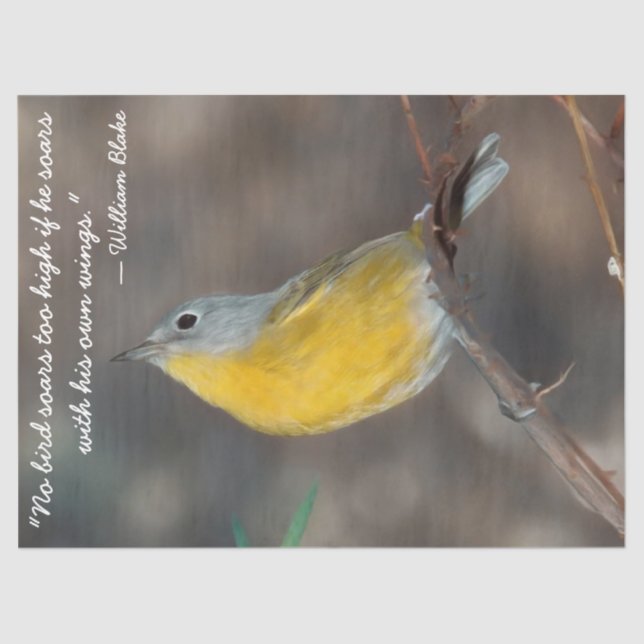 Schönes Vogelgeflechtpapier Seidenpapier (Vorderseite)