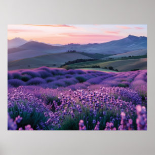 Schönes Waschfeld bei Sonnenuntergang Poster