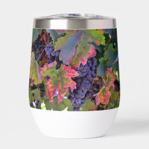 Schönes Weinglas mit Weintrauben